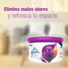 Glade Aromatizante para Hogar Mini Gel Aroma Campos de Lavanda,
