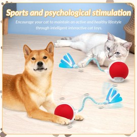 TAGNEFLORS Pelota de Juguete Interactivo para Gatos,Smart Auto Rolling Pet Ball,Pelota Giratoria 360° para Perros y Felinos Grandes y Pequeños de Interior (Ⅱ-Verde)