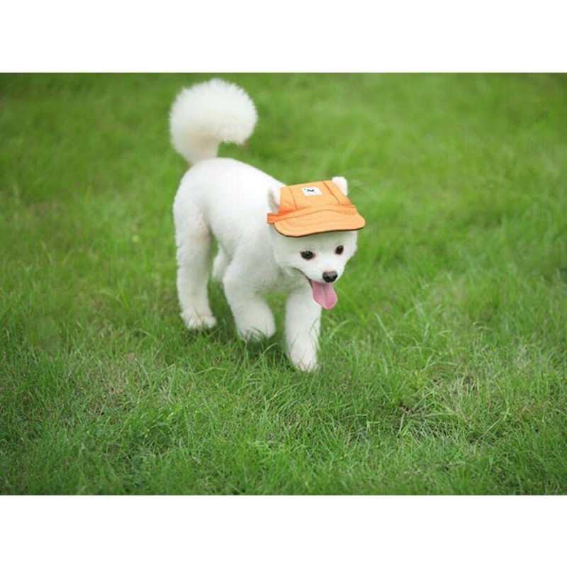 BbearT® Pet Hat, Leisure Visor, Pet Hat, Baseball Sun Hat,