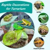3PCS Lexziuo Tree Frog Tank Accessories, Reptile Terrarium Climbing Platform