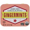 Trader Joe's Organic Pastilles Mints 40g (Gingermints, 2 Pack)