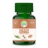 Aryan Herbals Neem (Indian Lilac) 60 Tablets of 500 MG