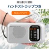 Ohm Electric AudioComm Stamina Portable Radio AM/FM RAD-T460N 03-5540 OHM