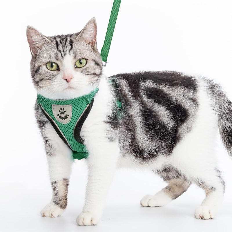 PUPTECK Cat Harness and Leash Set Escape Proof Reflective Cat