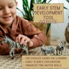 ZAGA Toys Zebra Family Holiday Bundle | Lifelike Safari Animals