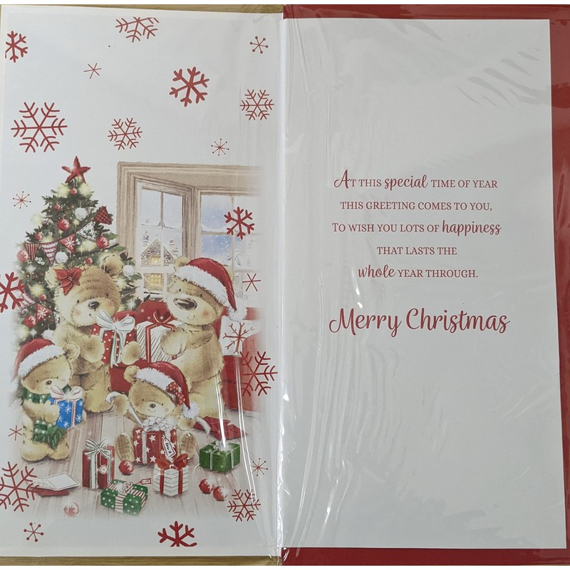 to Very Special Friends at Christmas Card White L