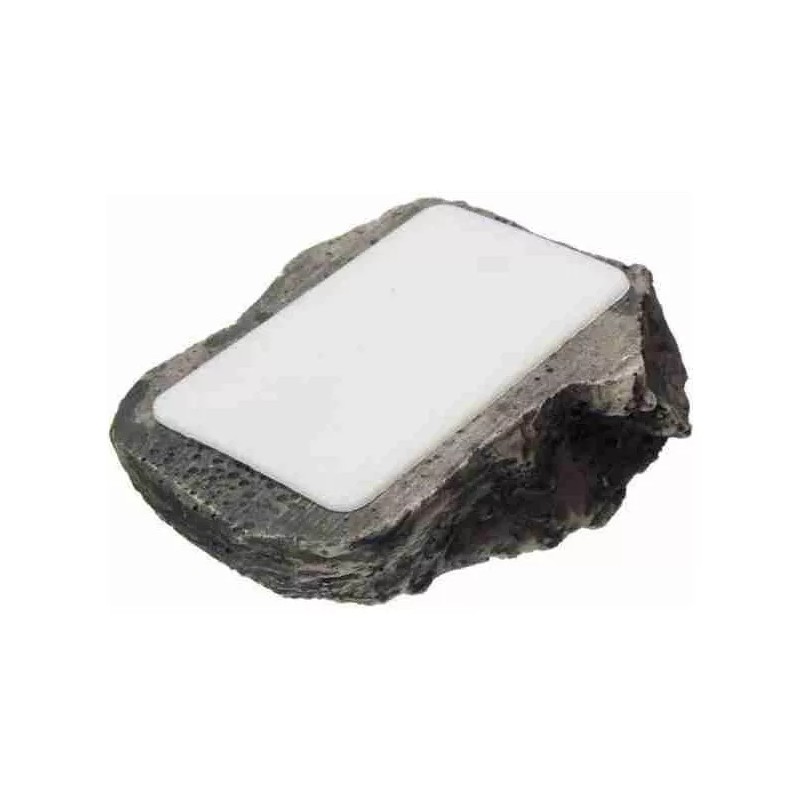 Estuchelandia Caja Piedra Falsa Dinero Llave Oculta Roca Patio Jardin