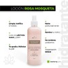 Loción facial hidratante rosa mosqueta y ácido hialurónico 500 ml