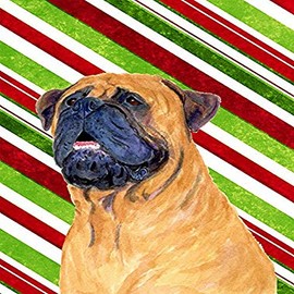 Caroline's Treasures SS4589GF Mastiff Candy Cane Holiday Christmas Garden Flag Mailbox Flag Decorative Yard Flag Banner Outside Patio Artwork Yard Flower Beds, Garden Size, Multicolor