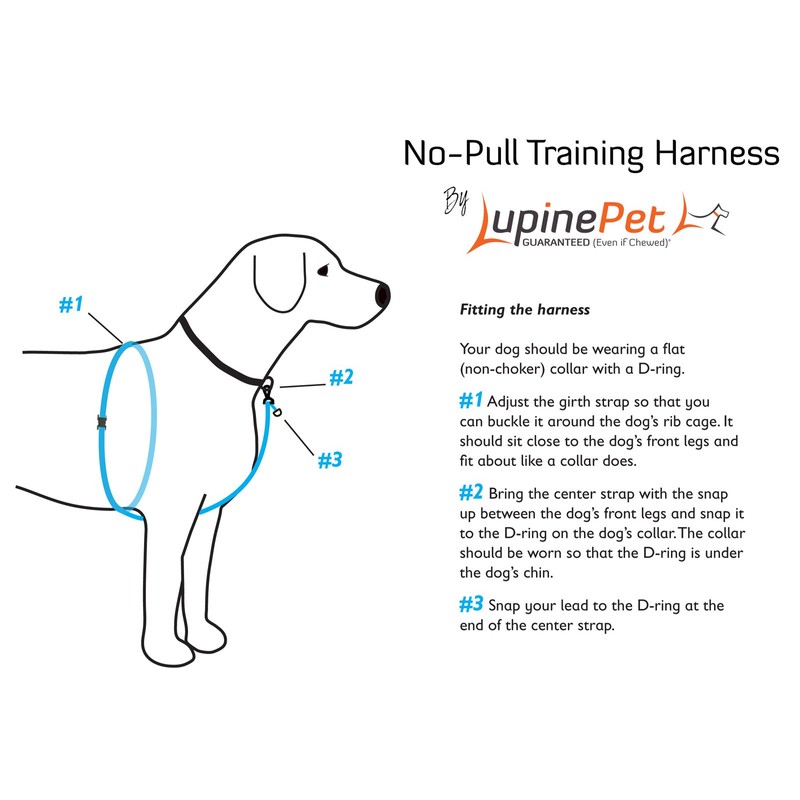 LupinePet Originals 1" Go Go Gecko 26-38" No Pull Harness