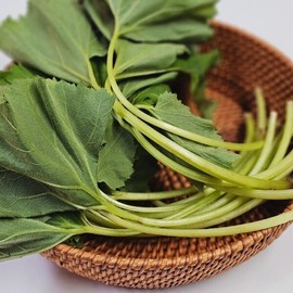Fragrant spring vegetable butterbur leaves 1kg / 향긋한 봄나물 머위잎 1kg