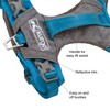 Kurgo Dog Harness for Medium, & Small Active Dogs, Pet