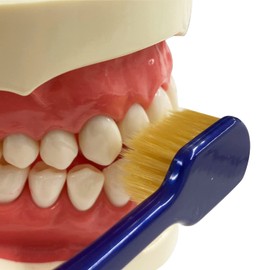 Ebisu The Premium Care 7 Row Regular Regular 2 Pack