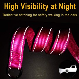 Mycicy Reflective Dog Choke Collar, Soft Nylon Training Slip Collar Suitable for Dog Weight Around 20-38 pounds (5/8" W x 15.5" L, Pink Collar)