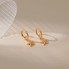 Starfish Earrings Gold Seashell Earrings Beach Earrings for Women Puka
