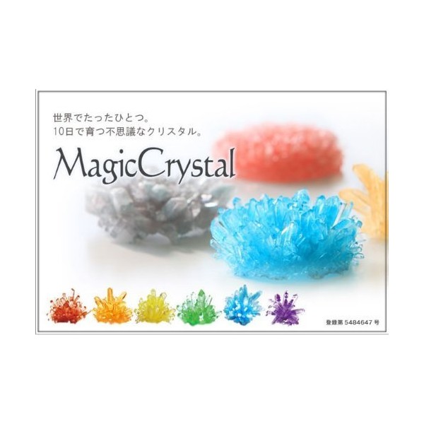 Magic Crystal, Mysterious Crystal that Grows in 10 Days, purple berry