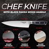 Boston Steel Chef Knife 8 Inch G1.4116 Carbon Stainless Steel