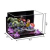 Better Display Cases Versatile Acrylic Display Case - Small Rectangle