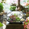 NCYP 28cm Large Geometric Glass Terrarium Handmade Irregular Polyhedral Lantern