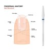 MaryCarrie Efile Nail Drill Bits Ceramic Small Cone Shape Bits,