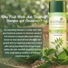 Biotique Bio Neem Margosa Champú y acondicionador anticaspa, 180 ml