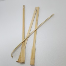 Bamboo filial son 5ea
