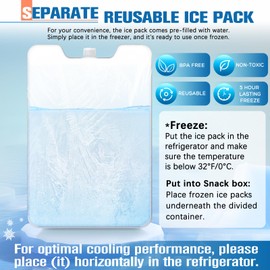 Chilled Portable Snackle Box Container with Reusable Ice Pack Bonus Insulated Bag 2Dip Container Divided Serving Tray Beach Essentials for Charcuterie Road Trip Picnic Family Party