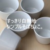Scenery Dot Com Mino Ware Soba Choko 93M White Set