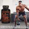 Optimised Research Labs Phosphatidic Acid M-TOR Pathway, Increase Protein Synthesis