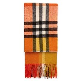 Women and Men Scarves Super Soft Classic Scarf for Women Cashmere Feel Tassel Plaid Large Scarves Winter Warm Long Scarves