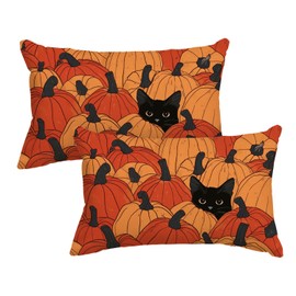 AVOIN colorlife Fall Pumpkins Throw Pillow Covers 12x20 Inch, Black Cat Seasonal Autumn Thanksgiving Harvest Decoration for Sofa Couch Farmhouse Set of 2
