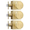 goldenwarm Gold Door Knobs 3 Pack, Brushed Gold Closet Door