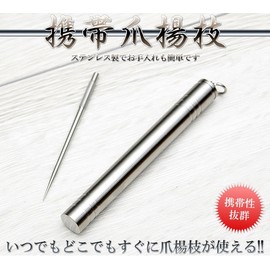 goodsland [Stainless Steel] Toothpick Case Set Mobile Food Travel Compact Portable Fashionable GD – tumayoji