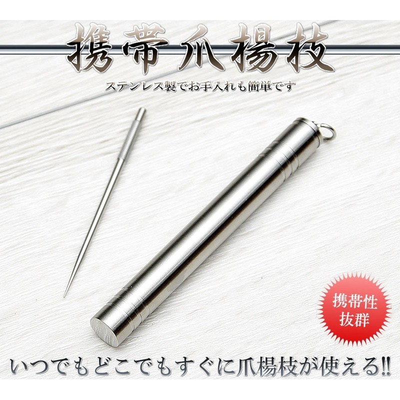 goodsland [Stainless Steel] Toothpick Case Set Mobile Food Travel Compact