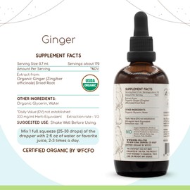 HerbEra Ginger B120 USDA Organic Tincture | Alcohol-Free Extract, High-Potency Herbal Drops | Certified Organic Ginger (Zingiber officinale) Dried Root (4 oz)