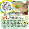 有機 国産 抹茶 パウダー100ｇ 粉末 オーガニック 国産有機抹茶100％品 お稽古用 製菓用 加工用