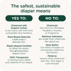 Our Diapers | EWG Verified Safe & Plant-Based Diapers |