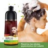 Shampoo Tinte Cubre Canas Rojo Uva Herbishh 500ml