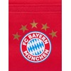 FC Bayern München FCB 5 Star Wallet Red, red, logo-centric"