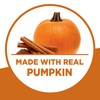 Krusteaz Baking Mix, Pumpkin Spice Quick Bread Mix, Made with
