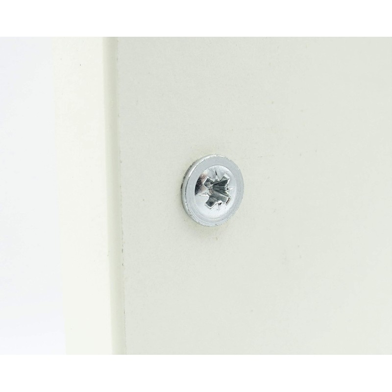 100 x Body Screws 4.0 x 30 Spax Back Wall