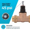 Cash Acme 3/4 Inch EB45 Double Union Pressure Regulating Valve