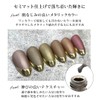 Reliable Metallic Gel Artist Gel Series Color Gel (AM5 Brown