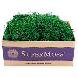 SuperMoss (26928) Spanish Moss Preserved, Hunter, 3lbs