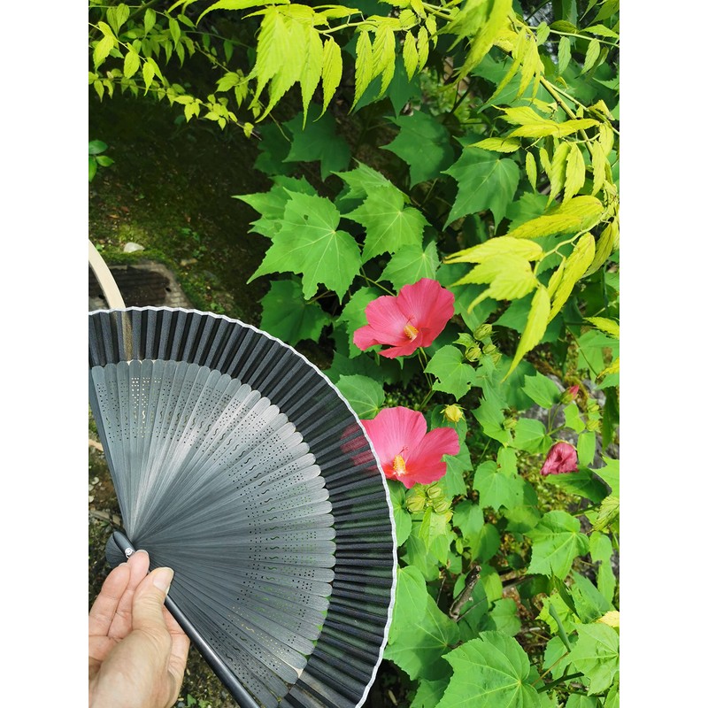 Aotake Kyodo 2019-600 Black Plain Folding Fan with Case, Black