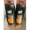 Power Stick Vivante Miracle Clay Shampoo (2 EA 18 Oz)