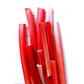 Rhubarb Seeds German Wine 30+ Seeds to Grow Perennial Plant