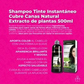 Shampoo Tinte Instantáneo Cubre Canas Natural Jengibre 500ml                                                                                          