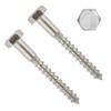 TERF® M10 X 120mm Coach Screws Hex Head Stainless Steel