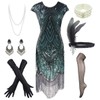 1920s Flapper Dress Roaring 20s Great Gatsby Fringed Sequin Dress